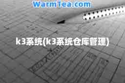 k3系统(k3系统仓库管理)