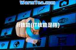 it技能(IT技能是指)