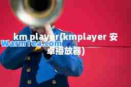 km player(kmplayer 安卓播放器)