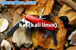 kali(kali linux)