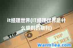 it经理世界(IT经理世界是什么级别的期刊)
