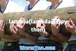 lambda(lambda函数python)