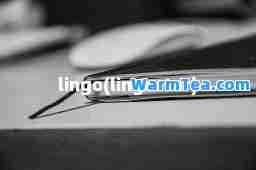 lingo(lingostar)