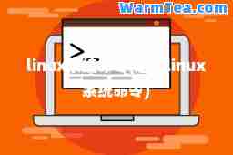 linux系统令(退出linux系统令)