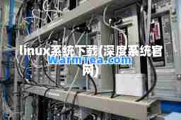 linux系统下载(深度系统官网)