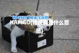 HAPIGO(哈皮狗是什么意思)