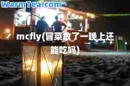 mcfly(冒菜放了一晚上还能吃吗)