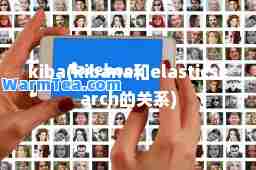 kiba(kibana和elasticsearch的关系)