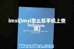 imsi(imsi怎么在手机上查询)