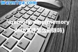 memory.dmp(memorydmp文件怎么删除吗)