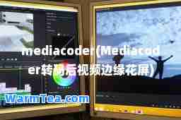 mediacoder(Mediacoder转码后视频边缘花屏)