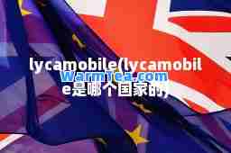lycamobile(lycamobile是哪个国家的)