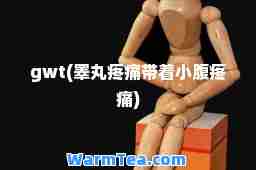 gwt(睾丸疼痛带着小腹疼痛)