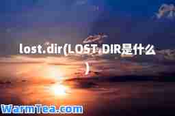 lost.dir(LOST.DIR是什么)