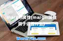 margin属性(margin属性用于设置什么)