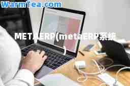 METAERP(metaERP系统)