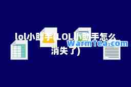 lol小助手(LOL小助手怎么消失了)