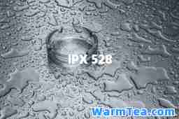 IPX 528