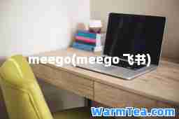 meego(meego 飞书)