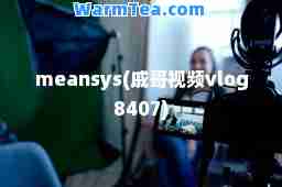 meansys(戚哥视频vlog8407)