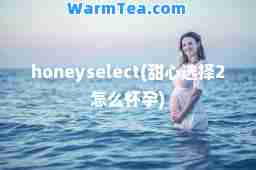honeyselect(甜心选择2怎么)