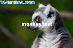 monkeytest