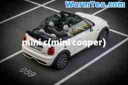 mini c(mini cooper)