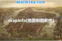 mapinfo(地图制图软件)