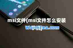 msi文件(msi文件怎么安装手机)