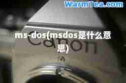 ms-dos(msdos是什么意思)