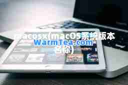macosx(macOS系统版本名称)