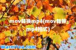 mov转换mp4(mov转换mp4格式)