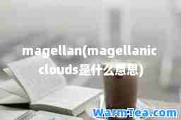 magellan(magellanic clouds是什么意思)
