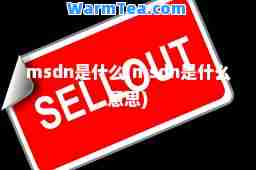 msdn是什么(msdn是什么意思)