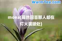 moea(蓦然回首那人却在灯火阑珊处)