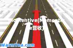 momentive(Momentive营收)