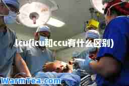 lcu(icu和ccu有什么区别)