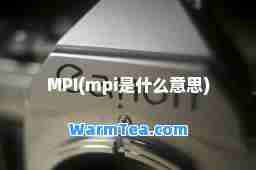 MPI(mpi是什么意思)