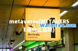 metaverse(METAVERSE是什么品牌)