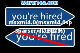 msxml4.0(msxml4.0sp3parser可以删除吗)
