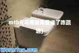 mtbf(马桶被粪便堵了咋疏通)
