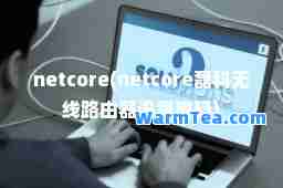 netcore(netcore磊科无线路由器设置密码)
