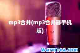 mp3并(mp3并器手机版)