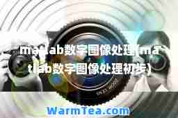 matlab数字图像处理(matlab数字图像处理初步)