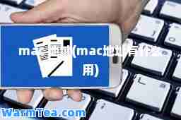 mac 地址(mac地址有什么用)