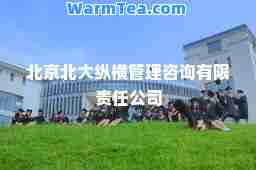 北京北大纵横管理咨询有限责任公司