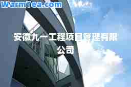安徽九一工程项目管理有限公司