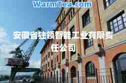 安徽省独领智能工业有限责任公司