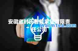 安徽省时氏智能家居有限责任公司