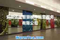 安徽信诚智慧城市运营服务有限公司